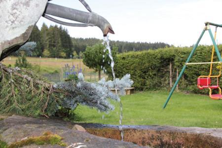 Schoenes Doppelzimmer Mit Separater Kueche Im Noerdlichen Nationalpark Schwarzwald 福尔巴克 外观 照片